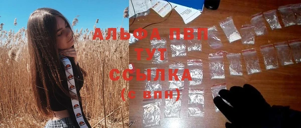 первитин Заводоуковск
