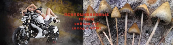 соль курить ск Заволжье